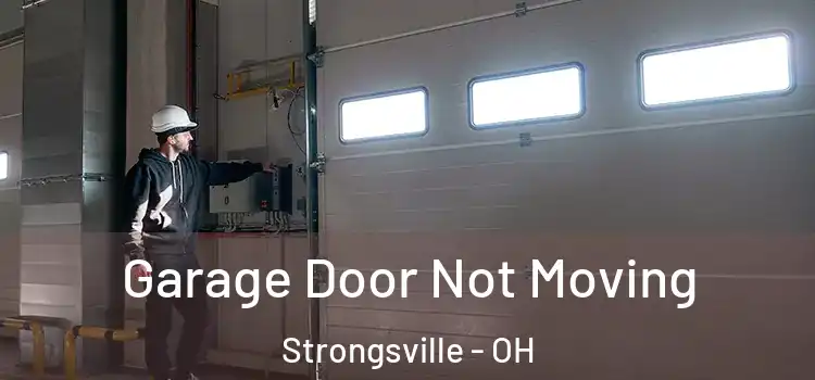  Garage Door Not Moving Strongsville - OH