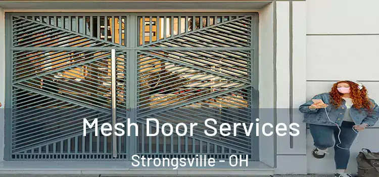 Mesh Door Services Strongsville - OH