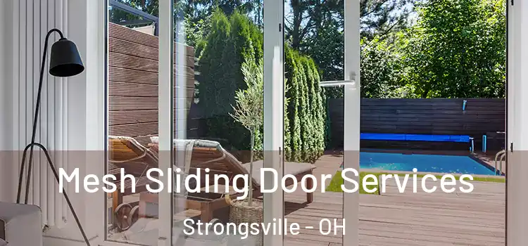 Mesh Sliding Door Services Strongsville - OH